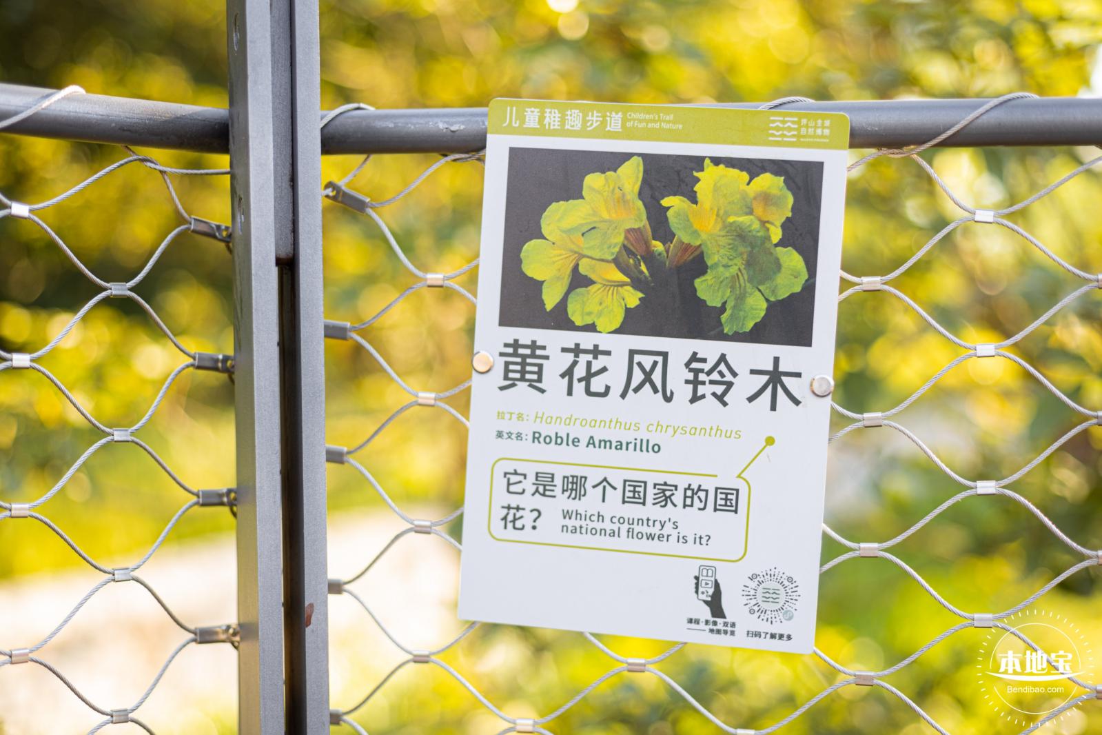 坪山儿童公园