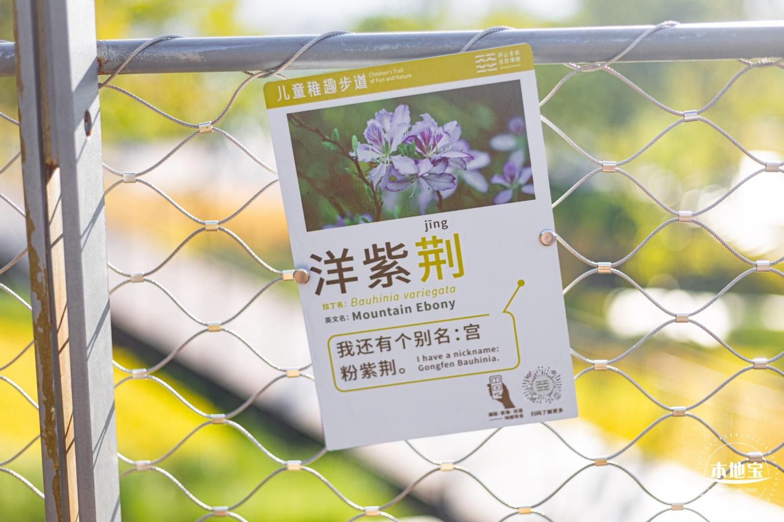 坪山儿童公园