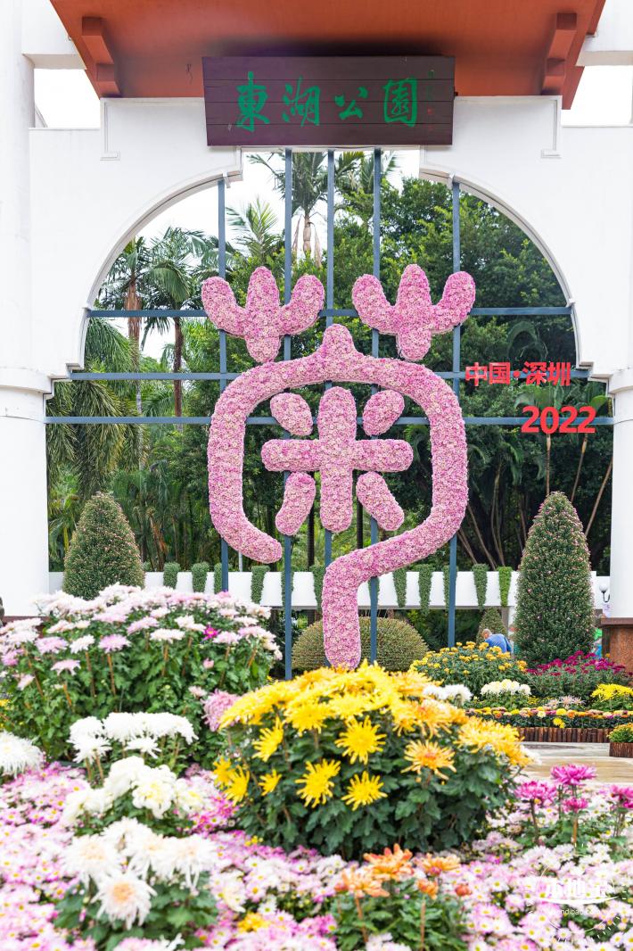 2022东湖公园菊花展