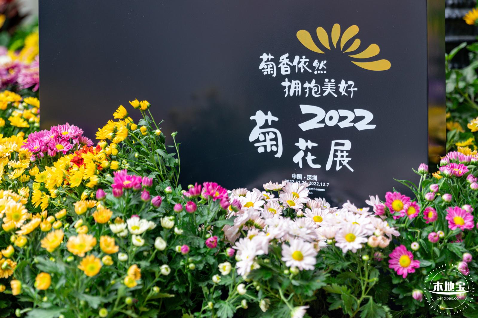 2022东湖公园菊花展