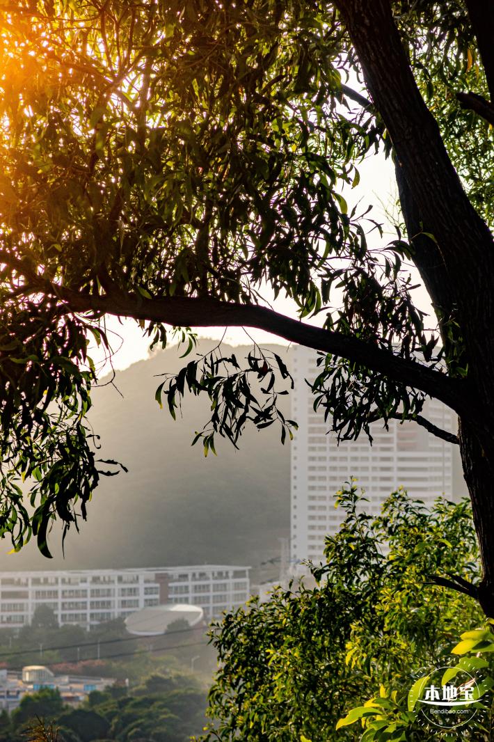 深圳水土保持科技示范园