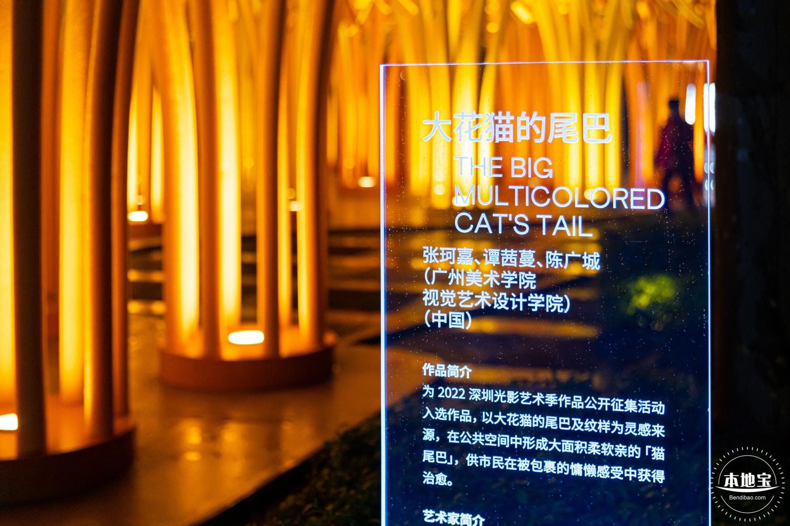深圳光影艺术季