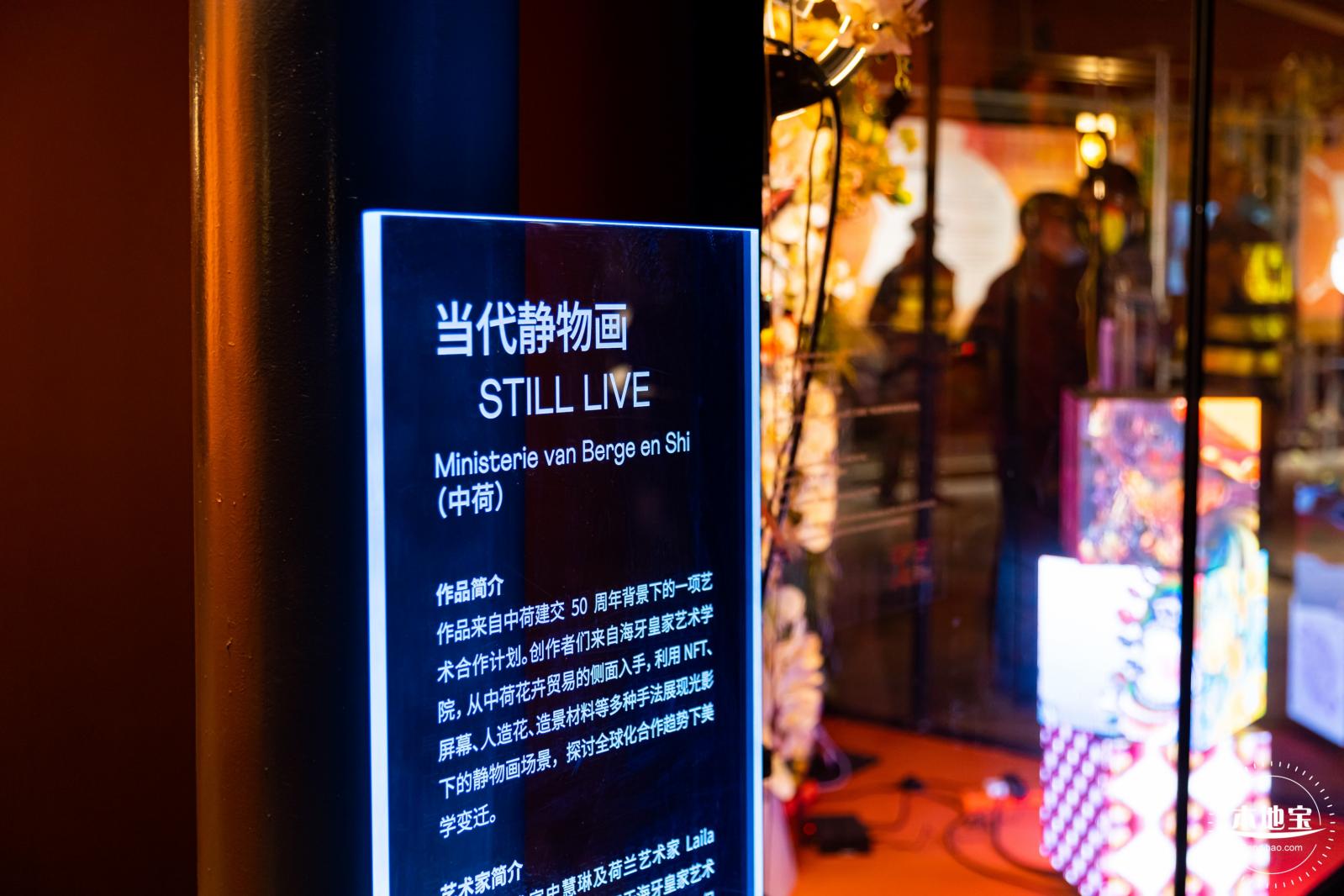 深圳光影艺术季