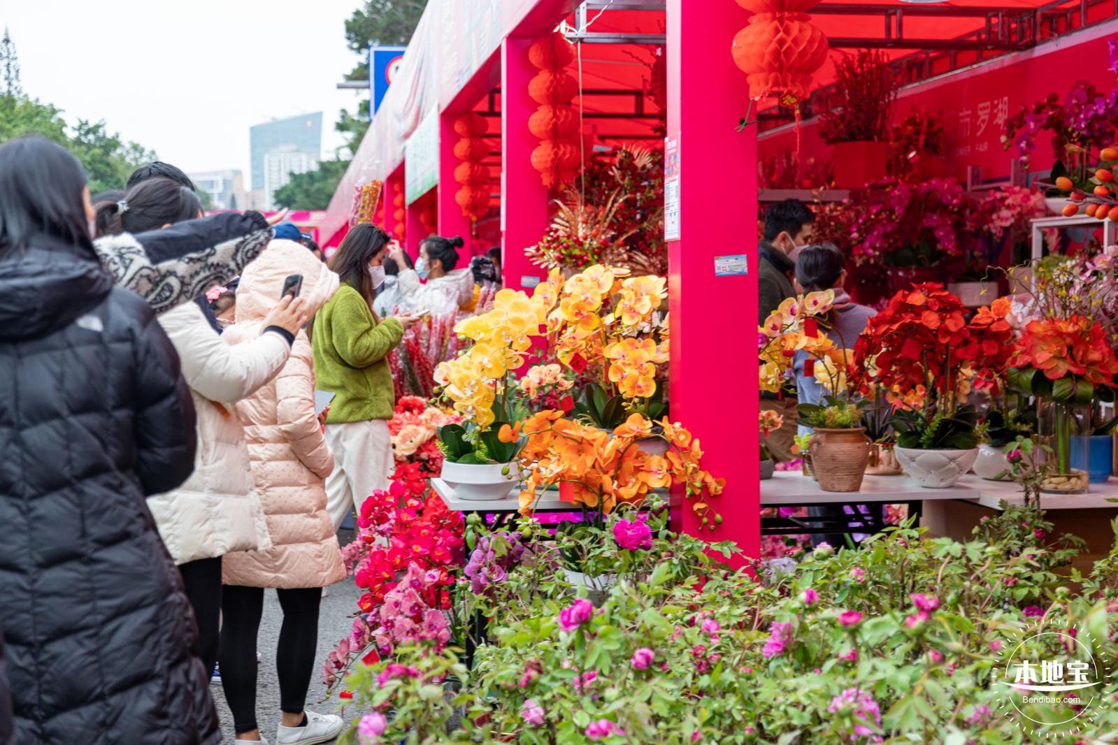 深圳迎春花市