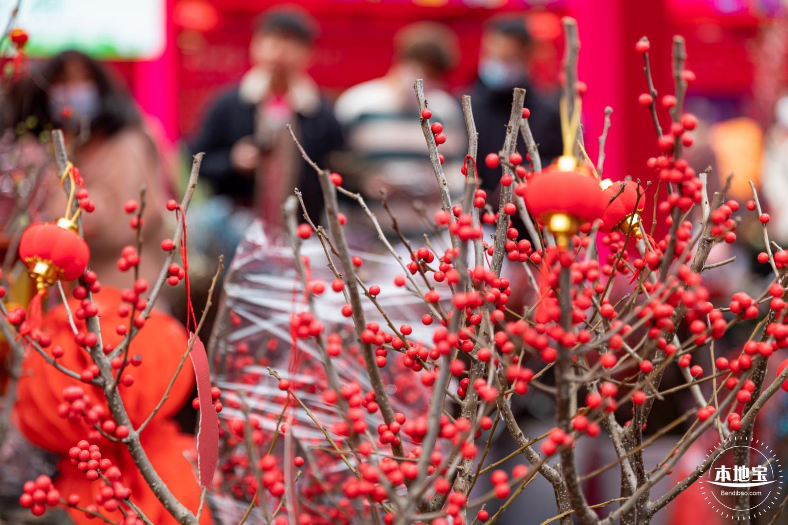 深圳迎春花市
