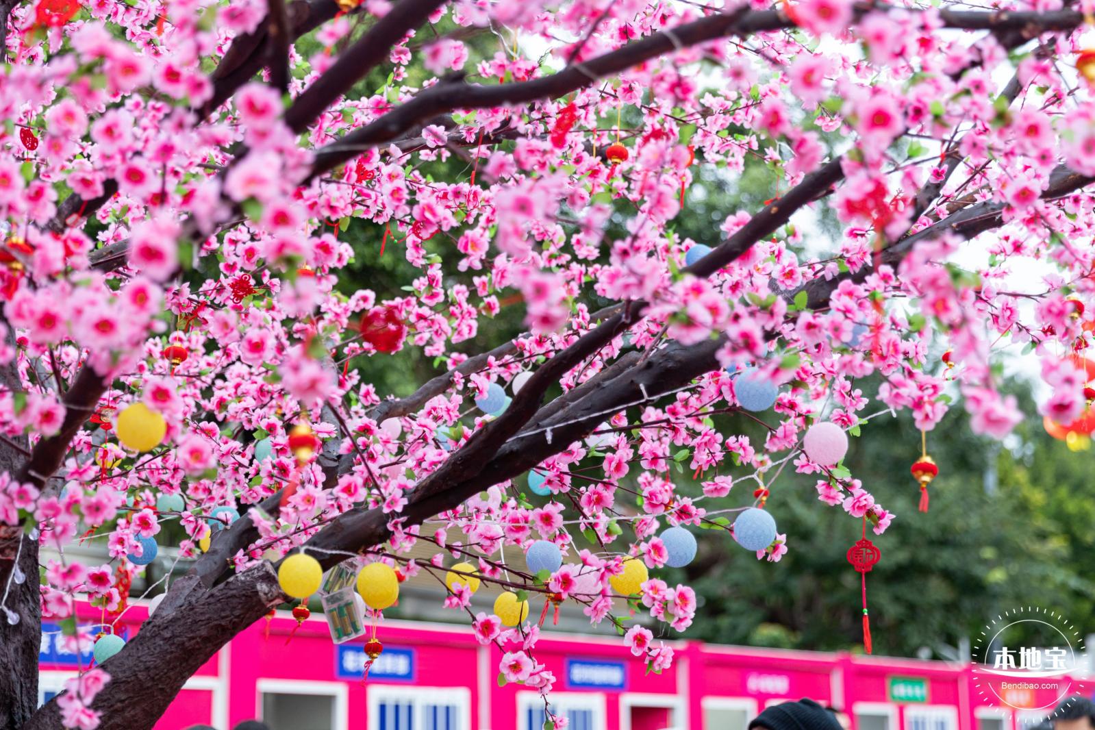 深圳迎春花市