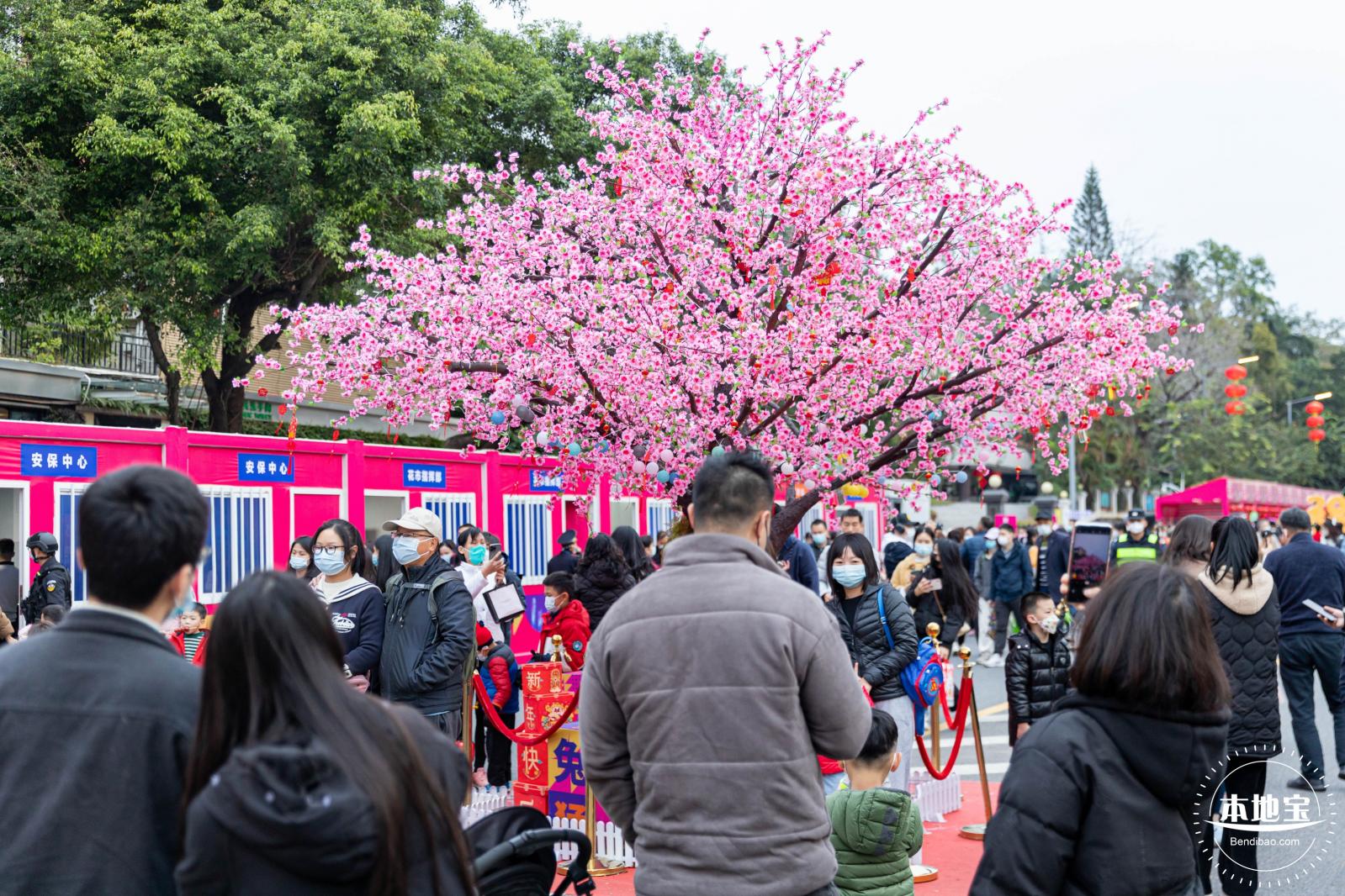深圳迎春花市