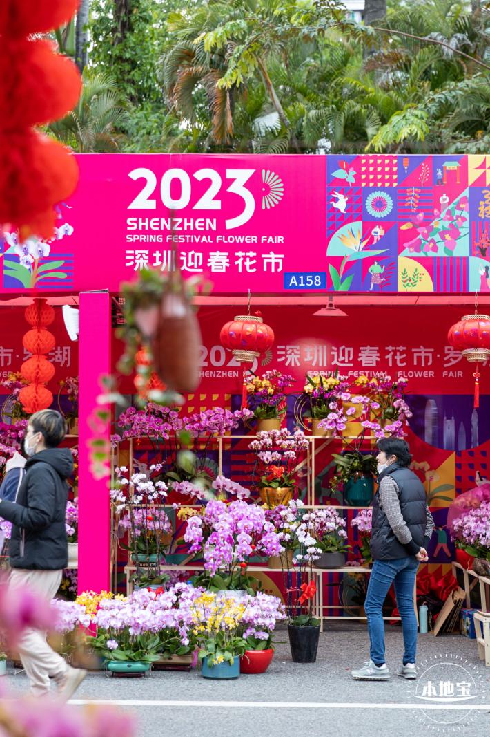 深圳迎春花市