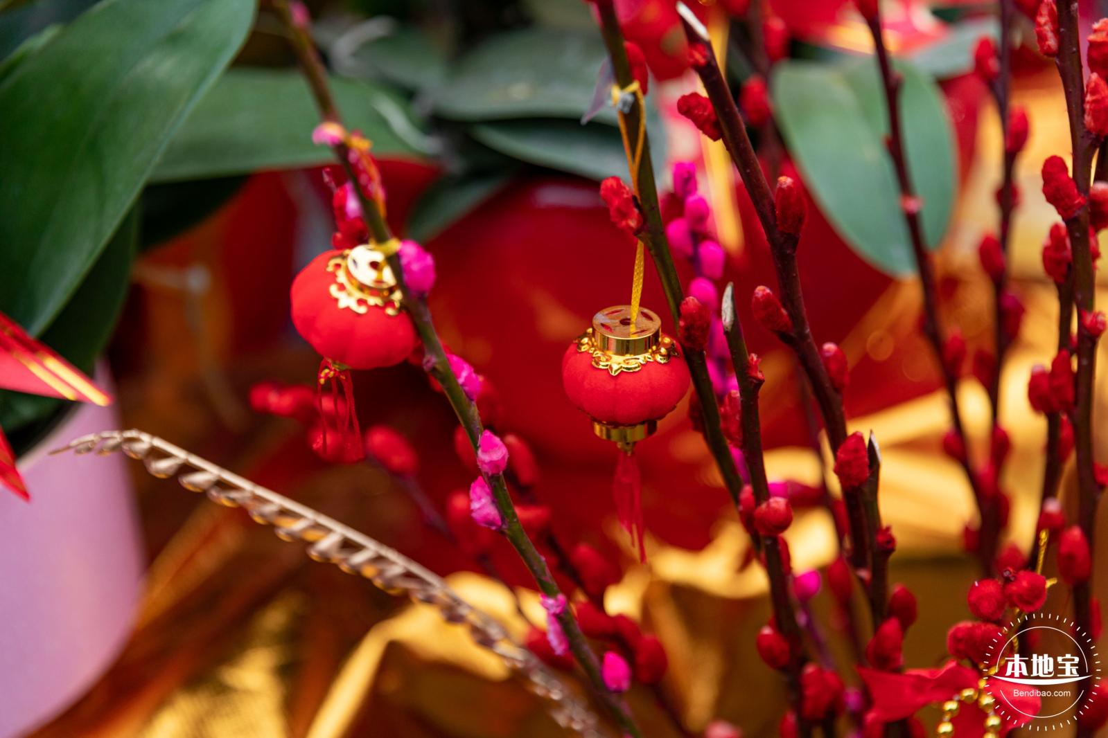 深圳迎春花市