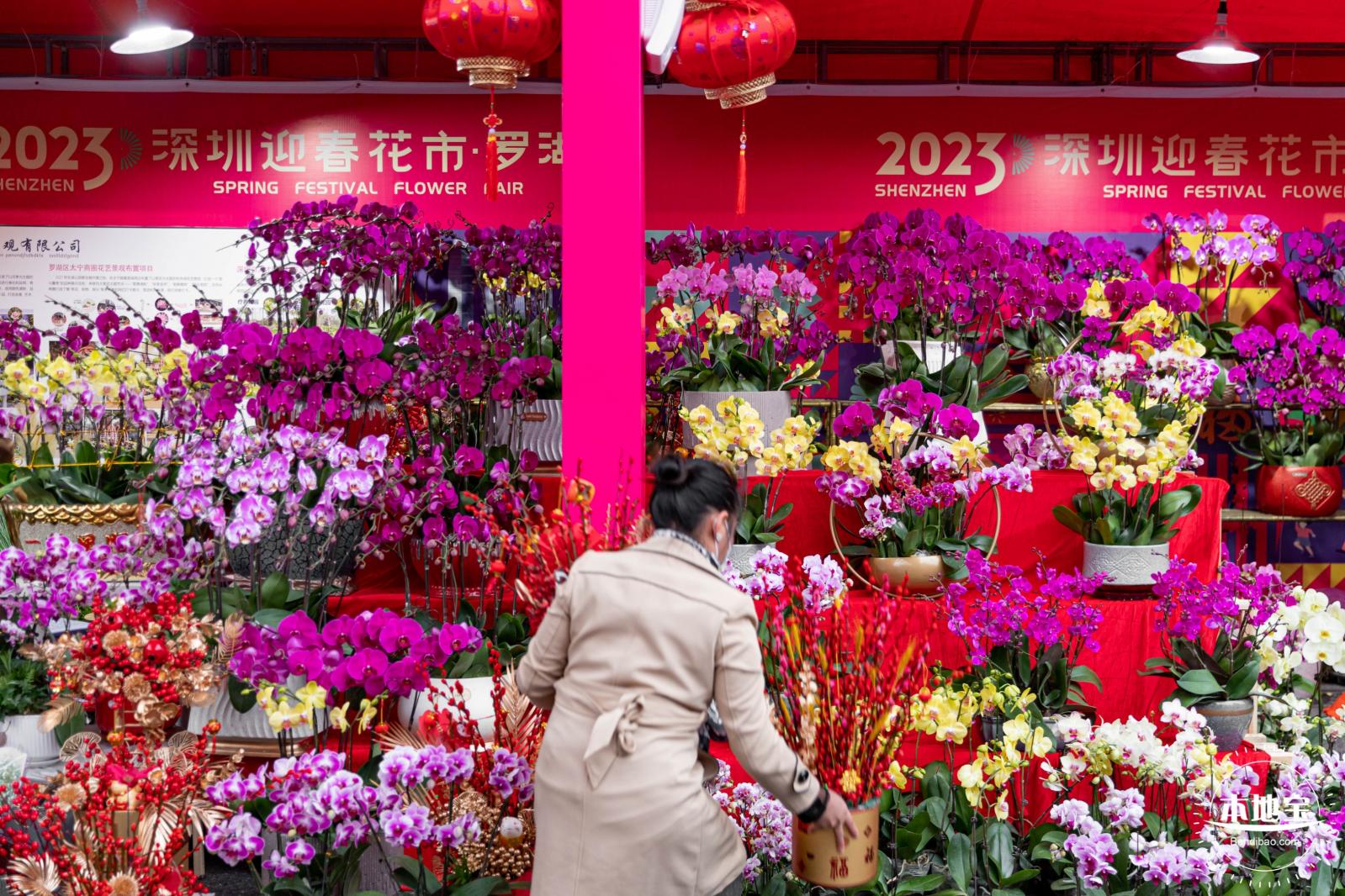 深圳迎春花市