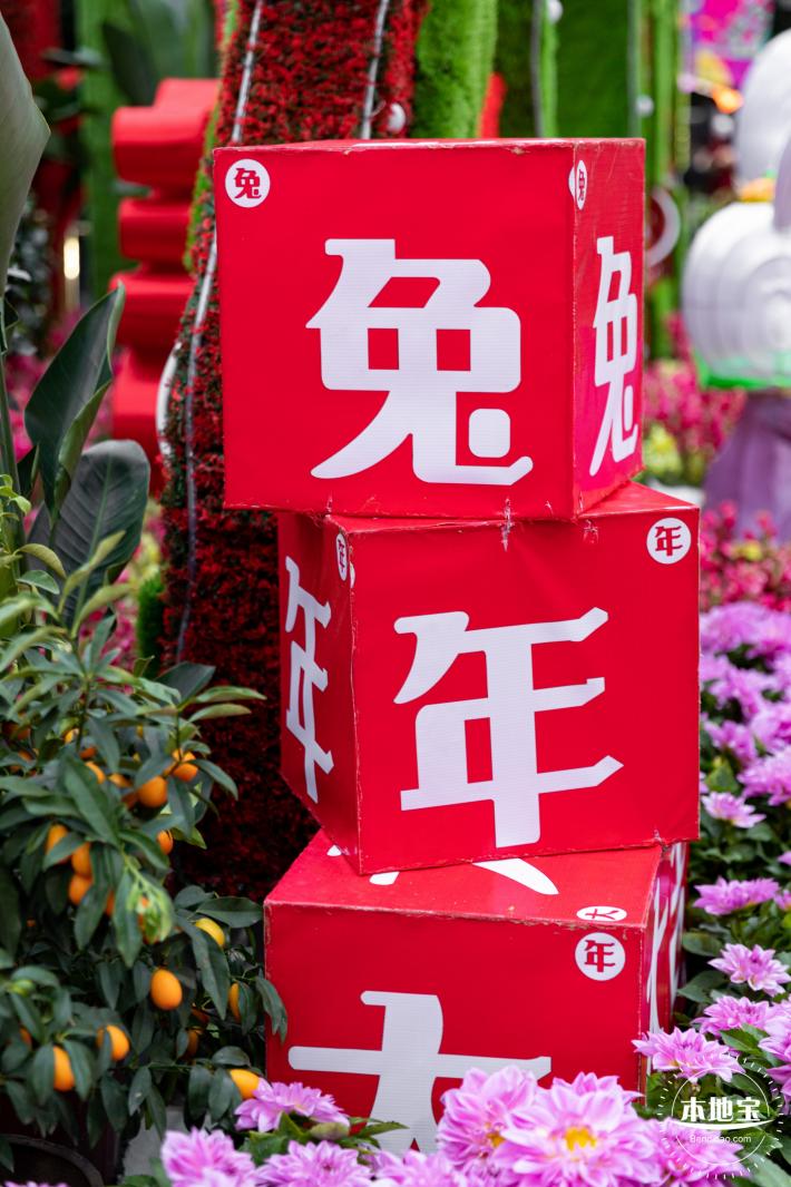深圳迎春花市