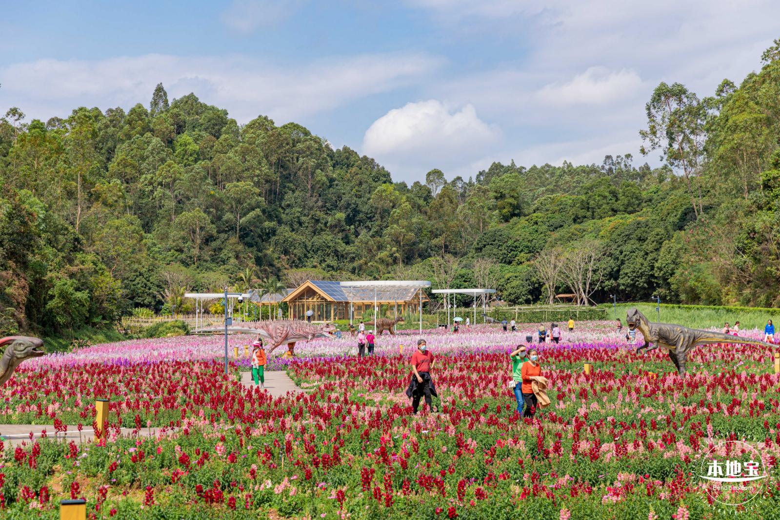 甘坑都市田园花海