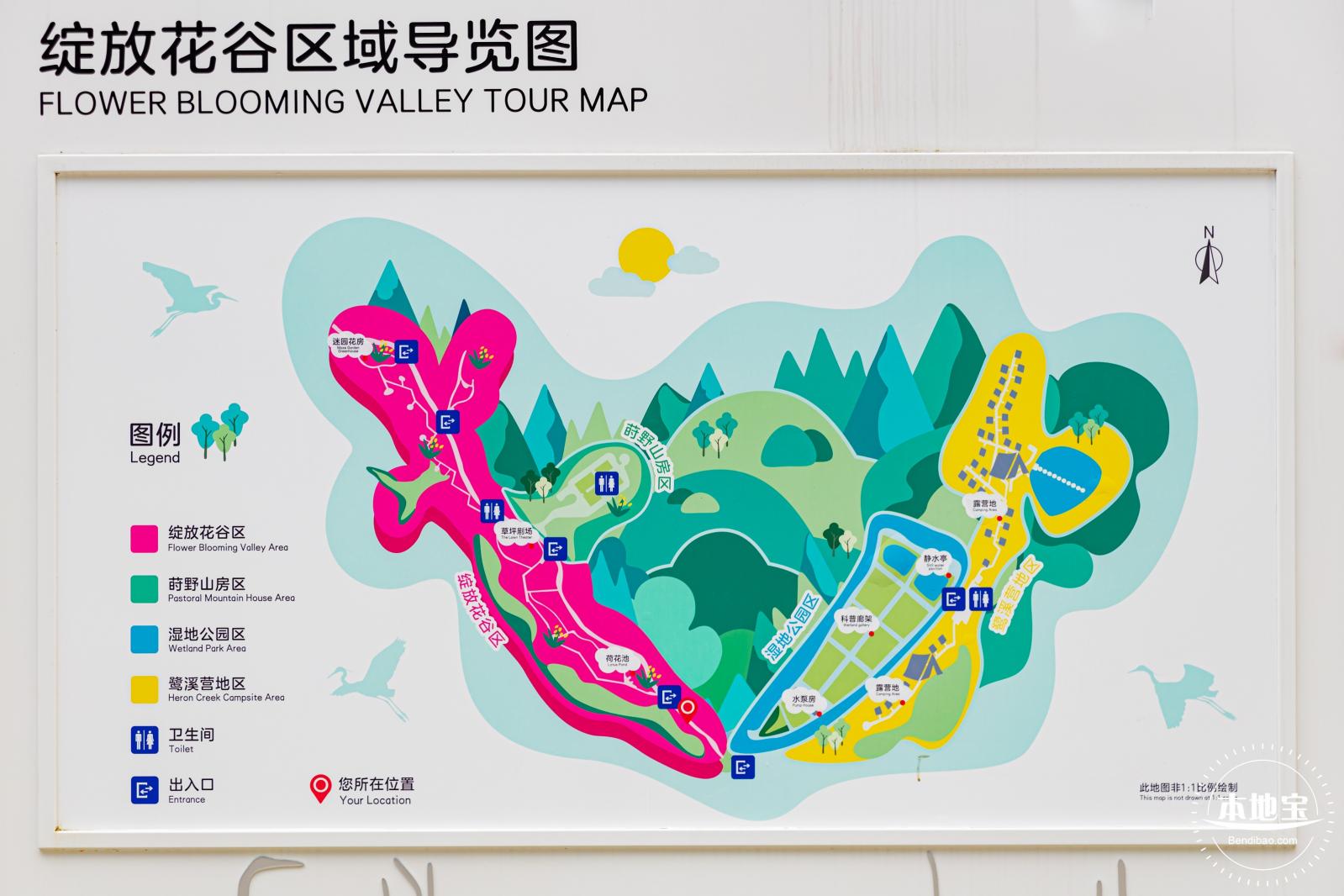 甘坑都市田园花海