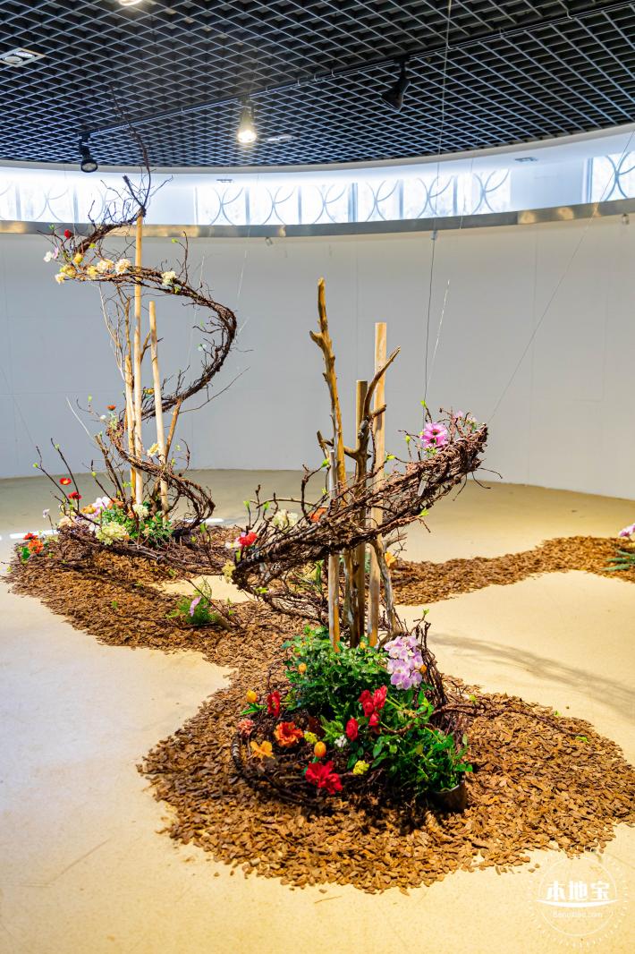 2023深圳月季花展