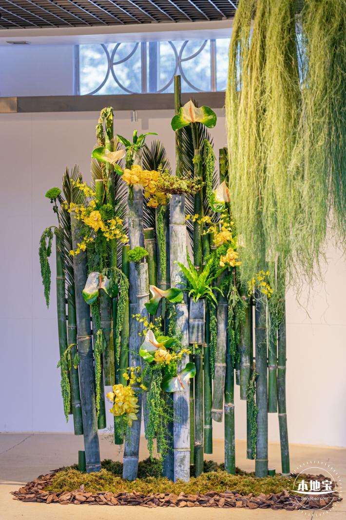 2023深圳月季花展