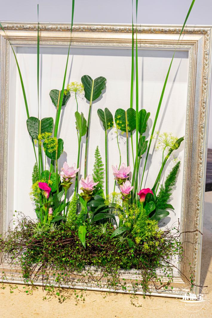 2023深圳月季花展