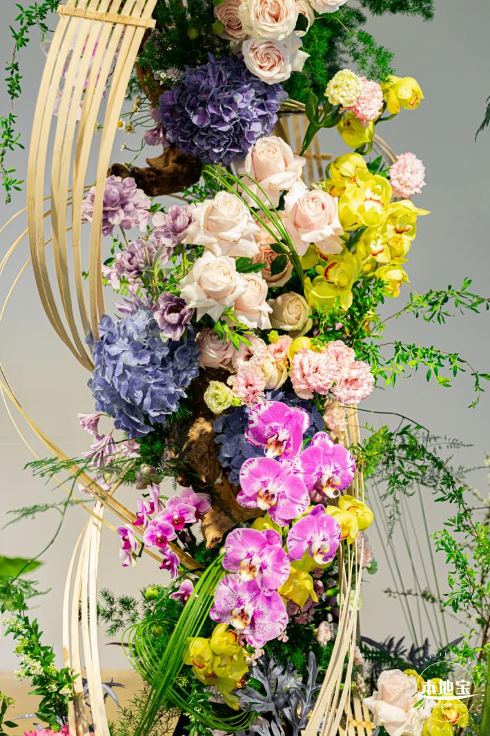 2023深圳月季花展
