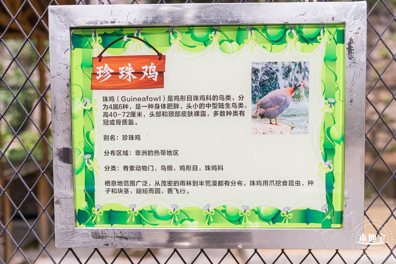 东湖趣味动物苑