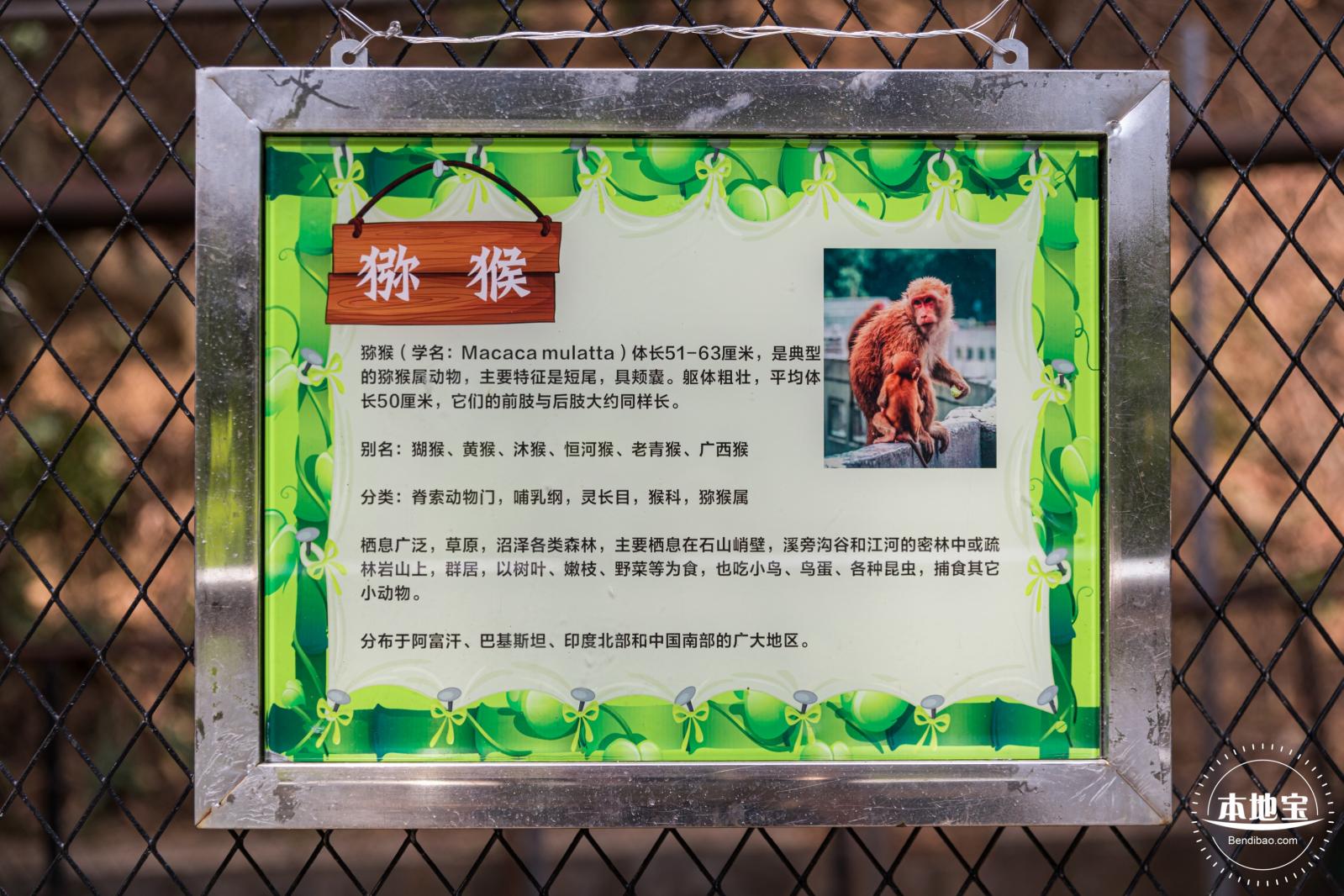 东湖趣味动物苑