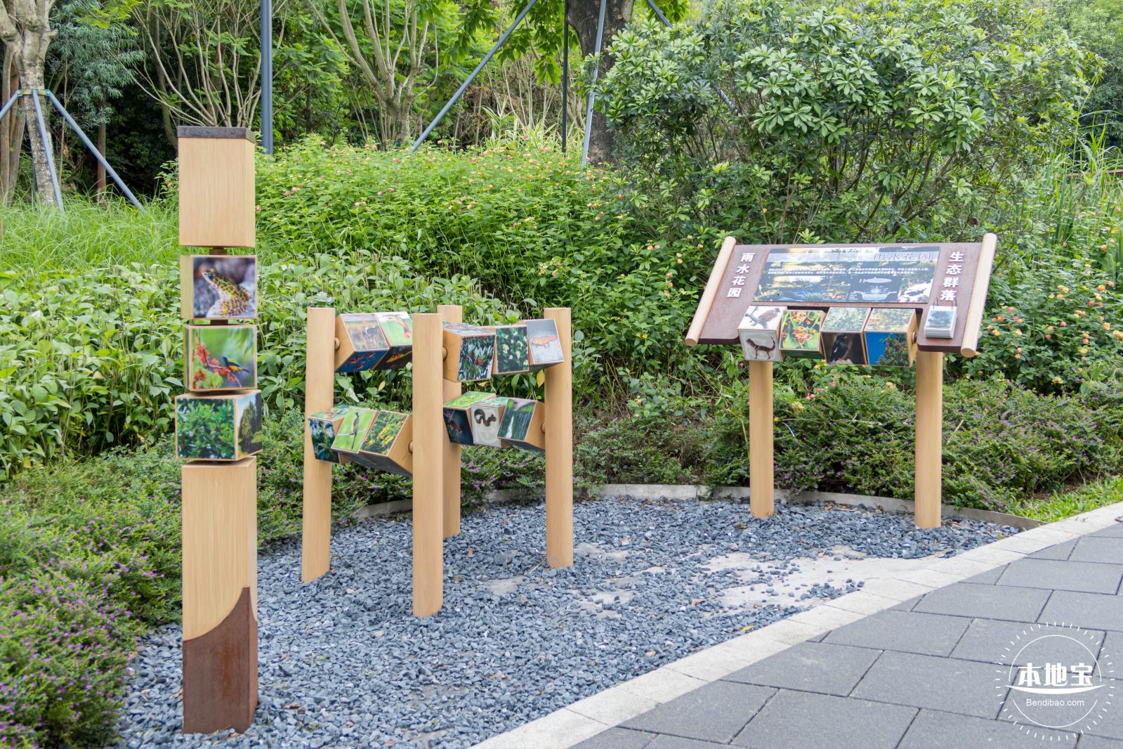 嶂背郊野公园