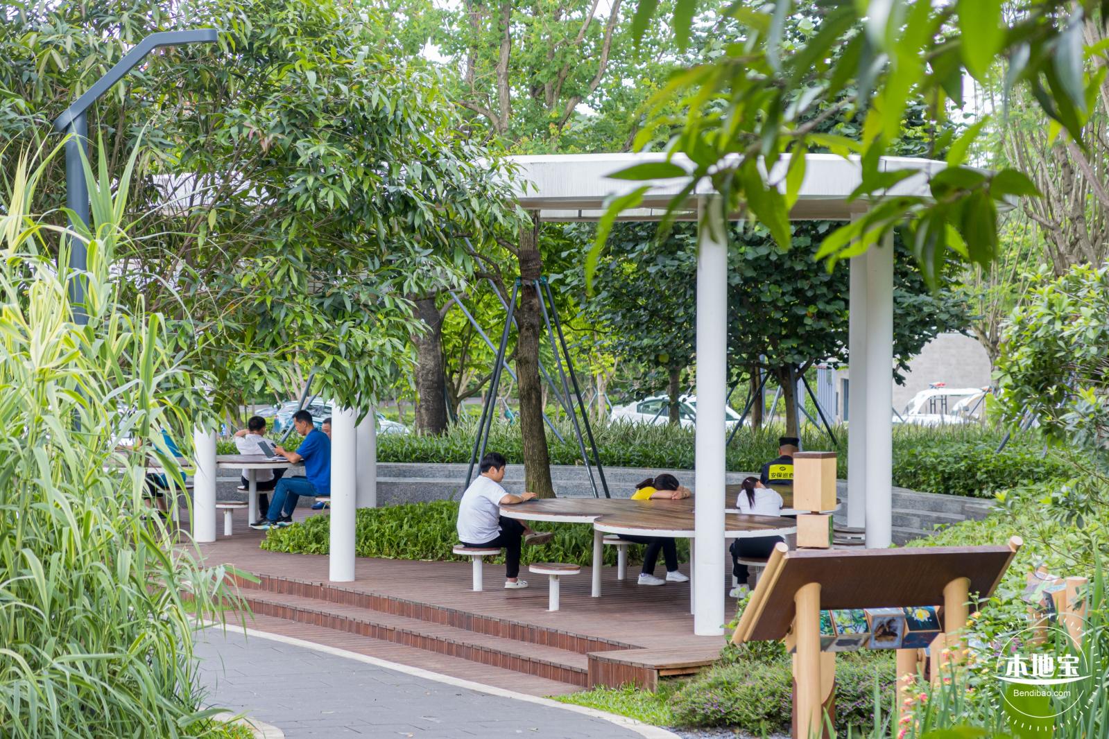嶂背郊野公园