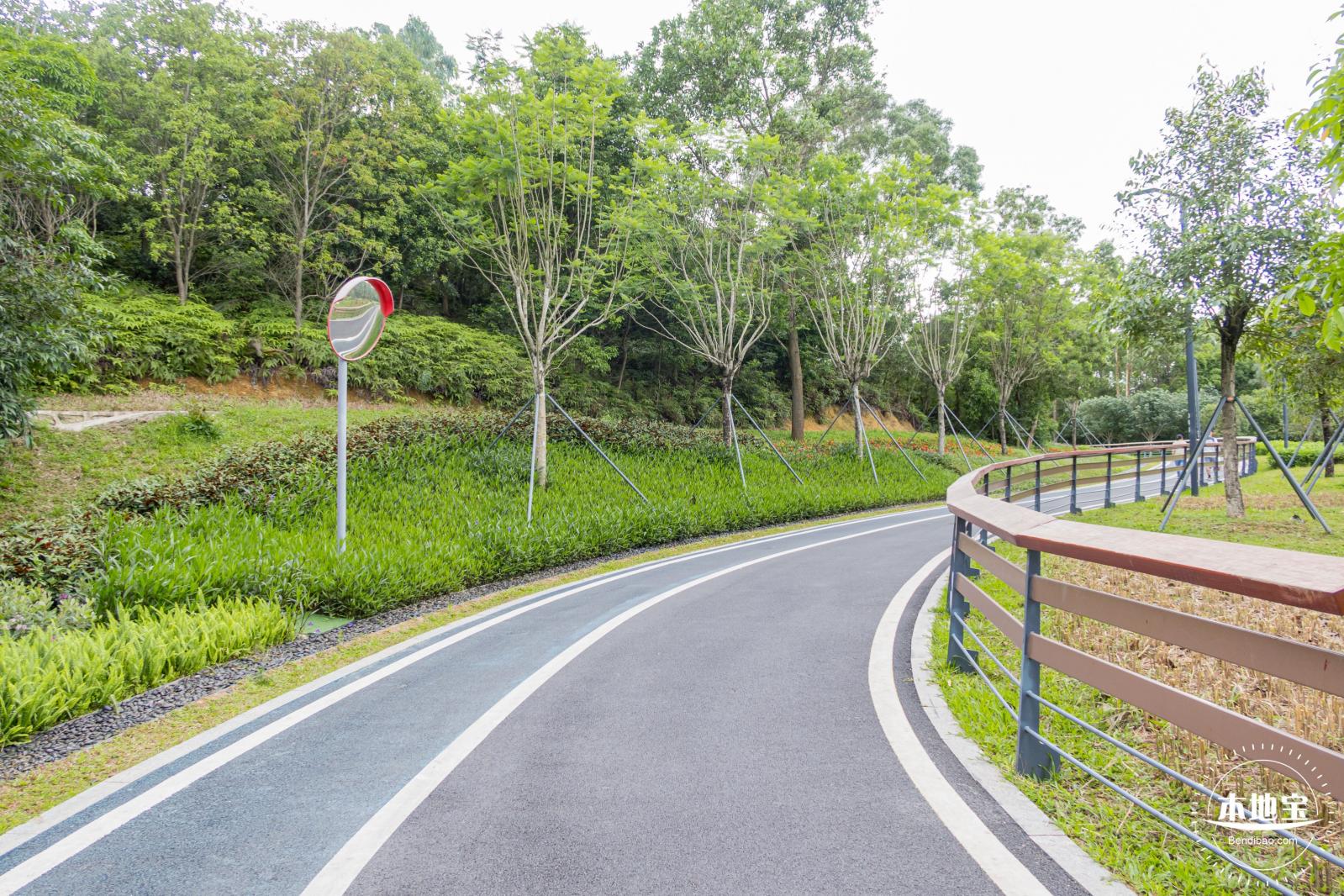 嶂背郊野公园