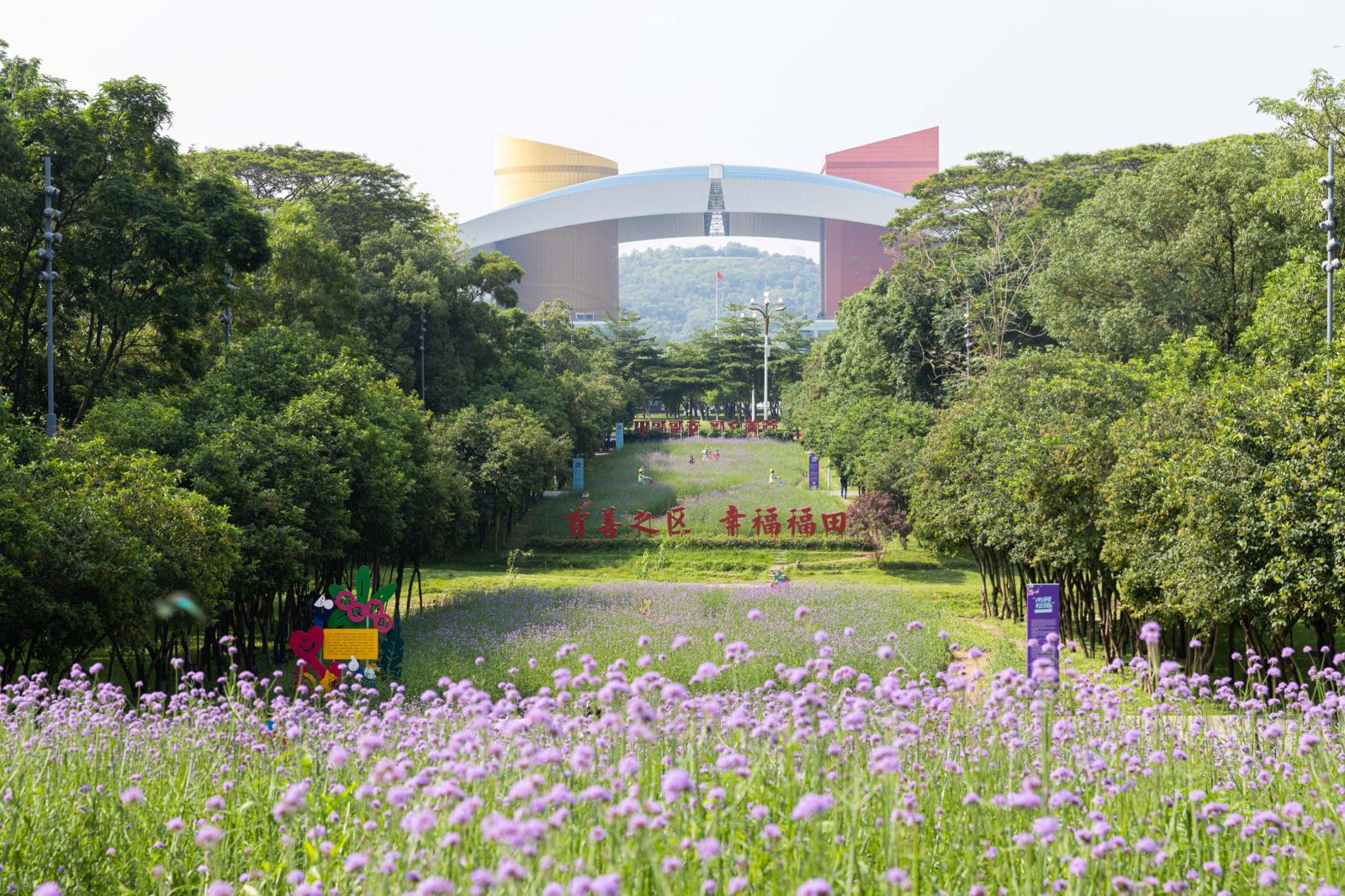 市民中心马鞭草