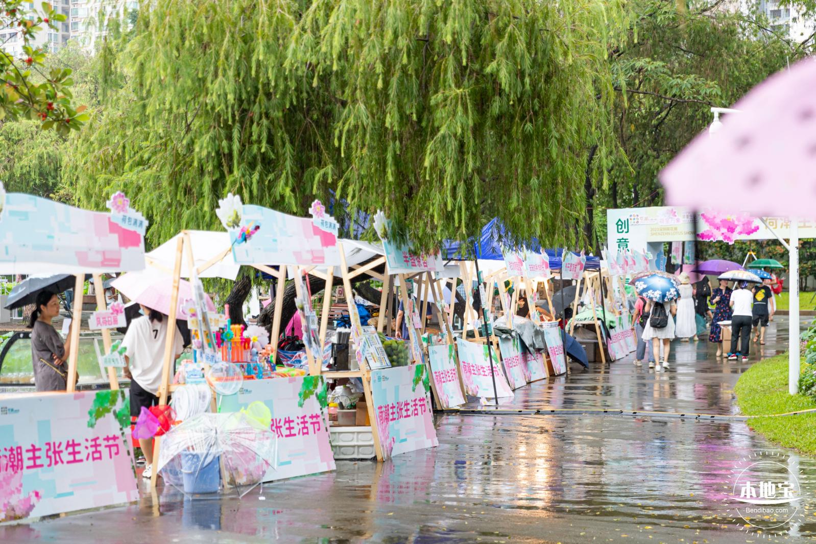 洪湖公园荷花