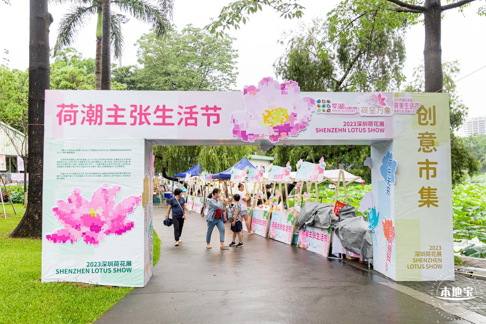 洪湖公园荷花