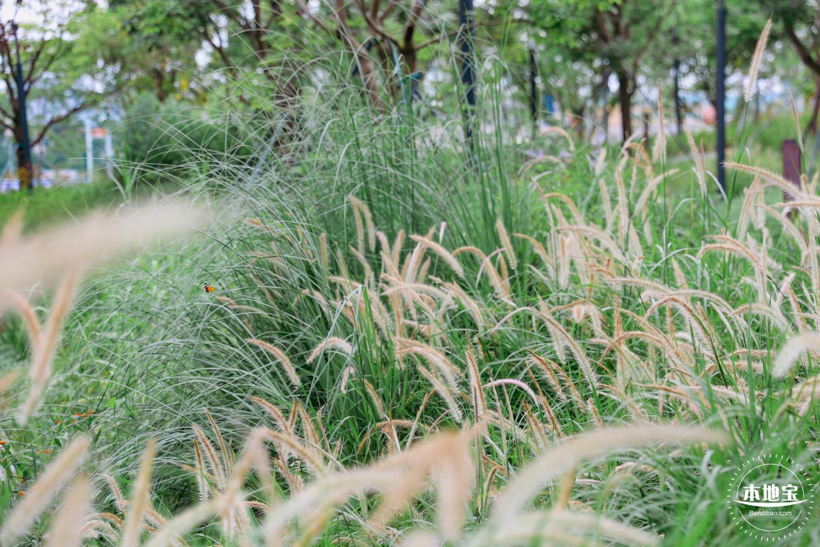 零碳公园