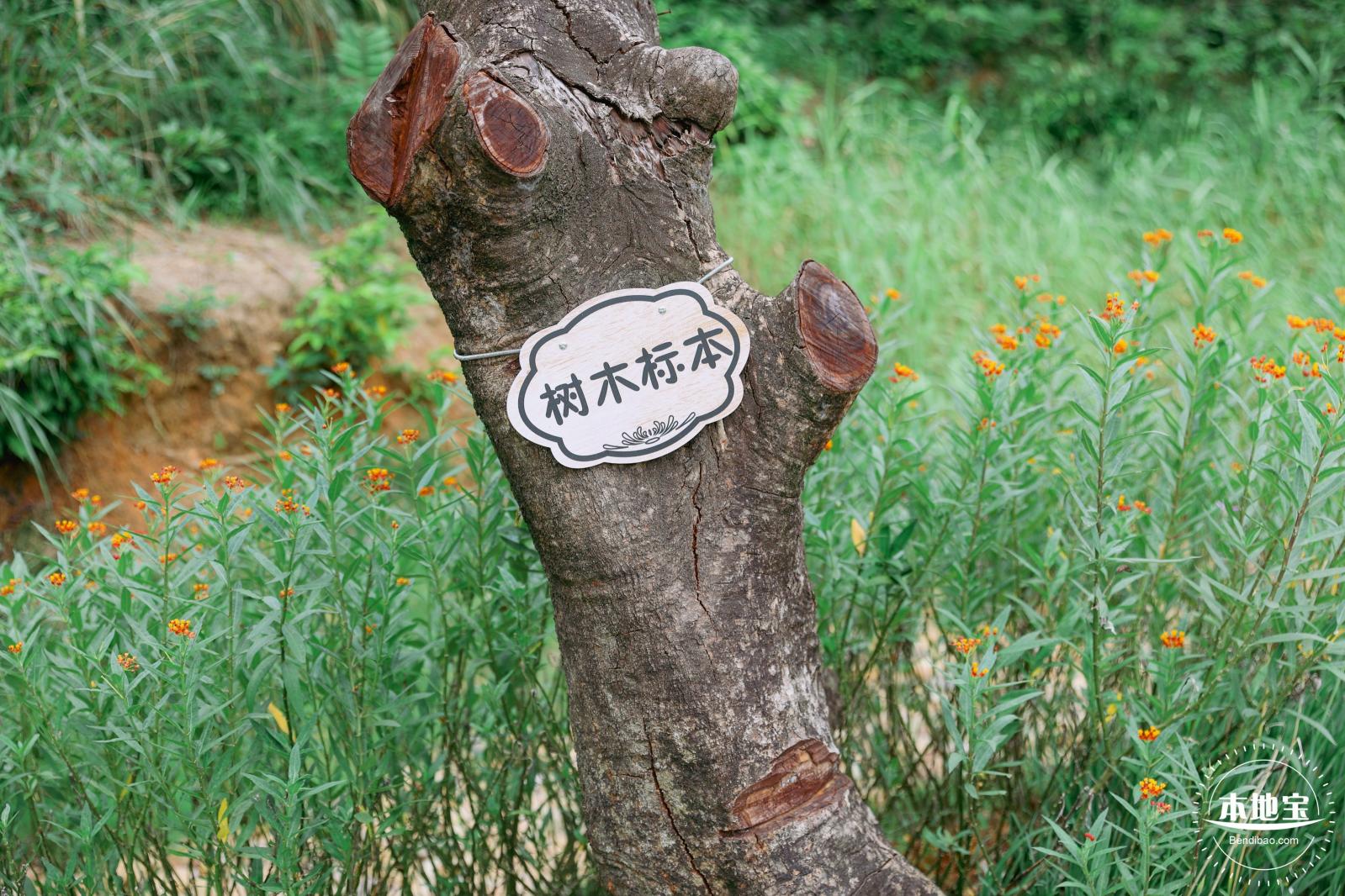 零碳公园