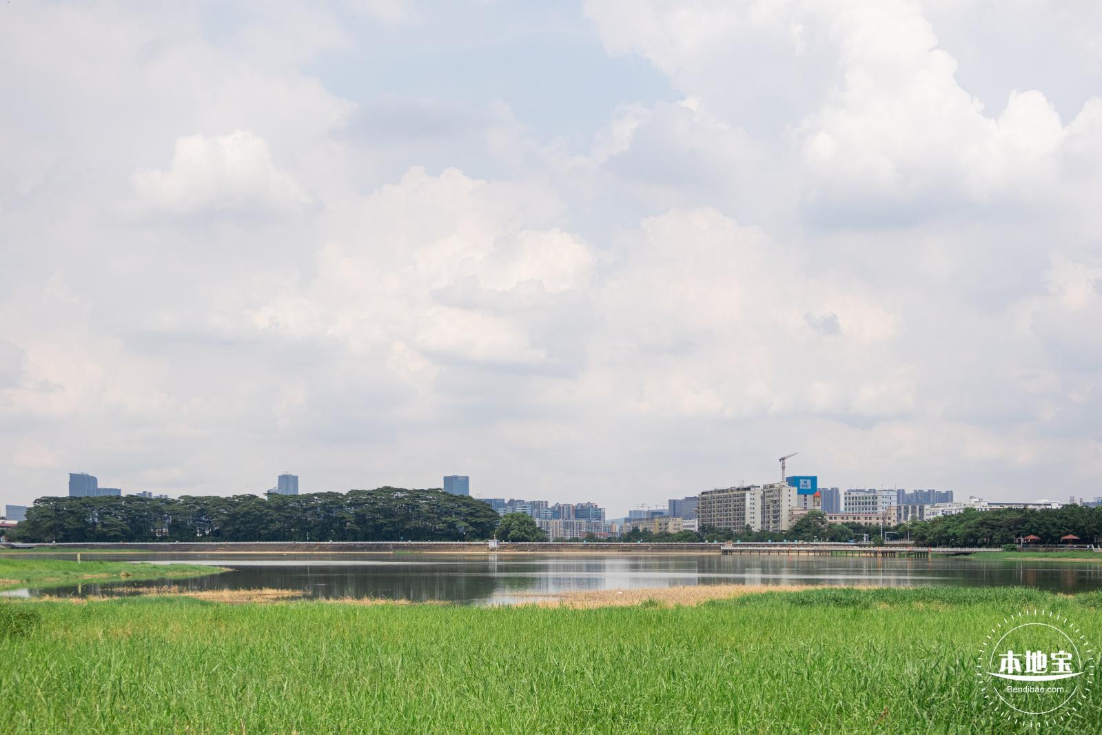 光明明湖公园