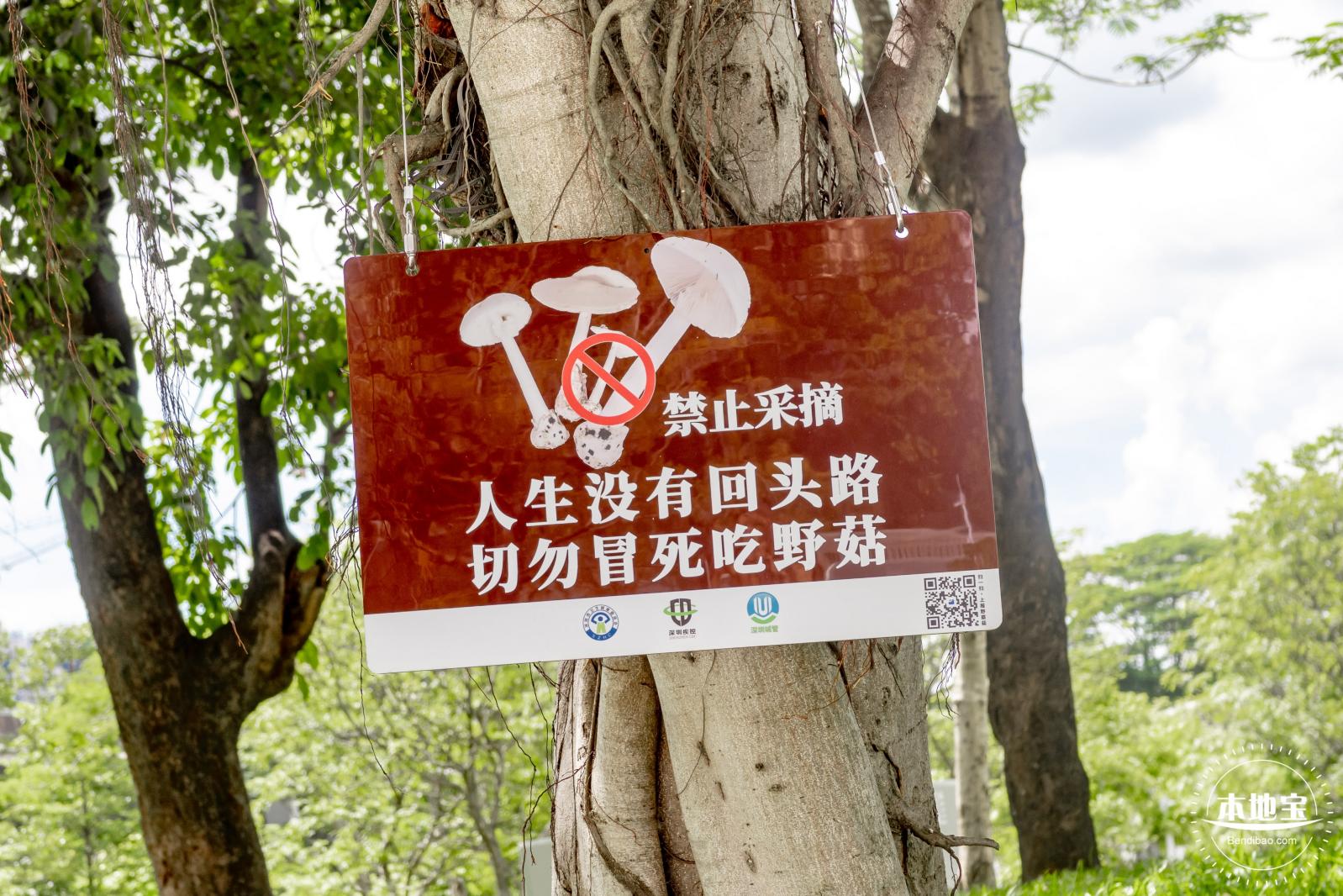 大浪文化公园