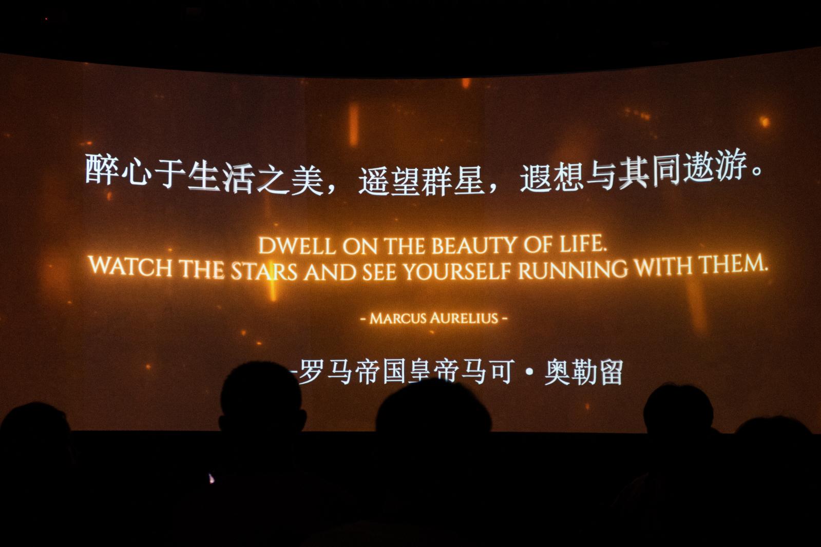 展览--盛世爱情