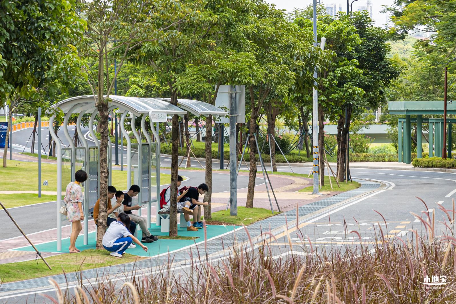 南方科技大学