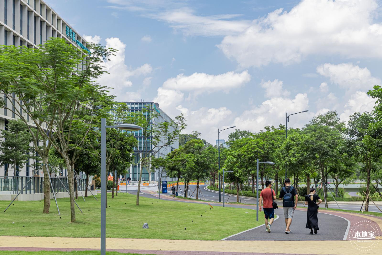 南方科技大学