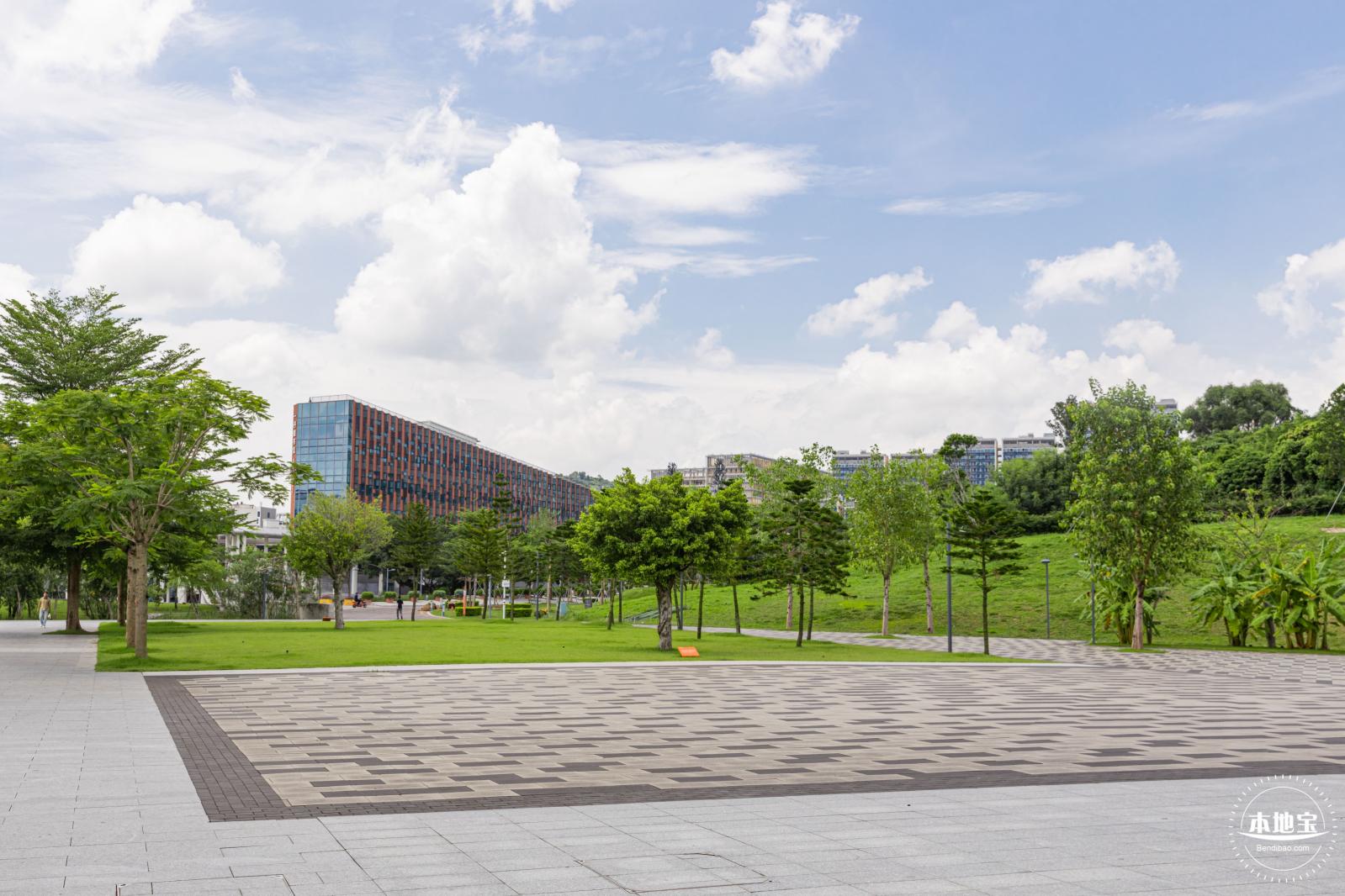 南方科技大学