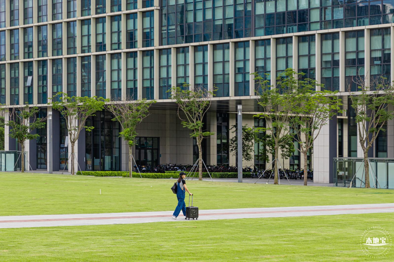 南方科技大学