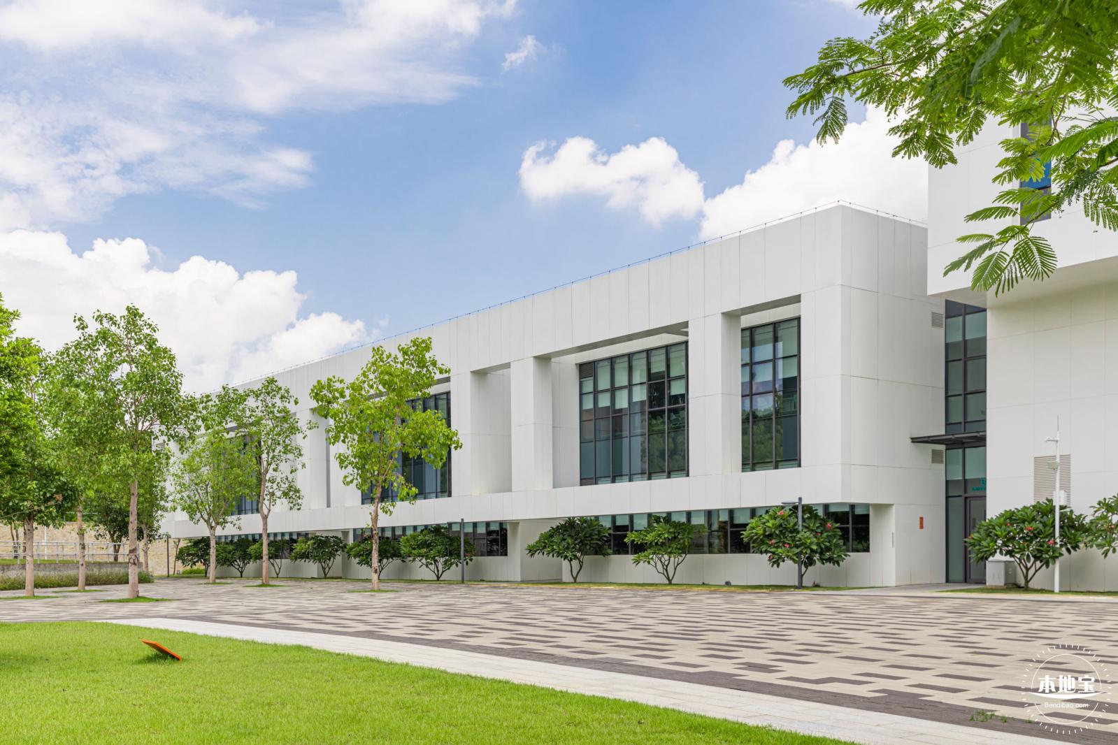 南方科技大学