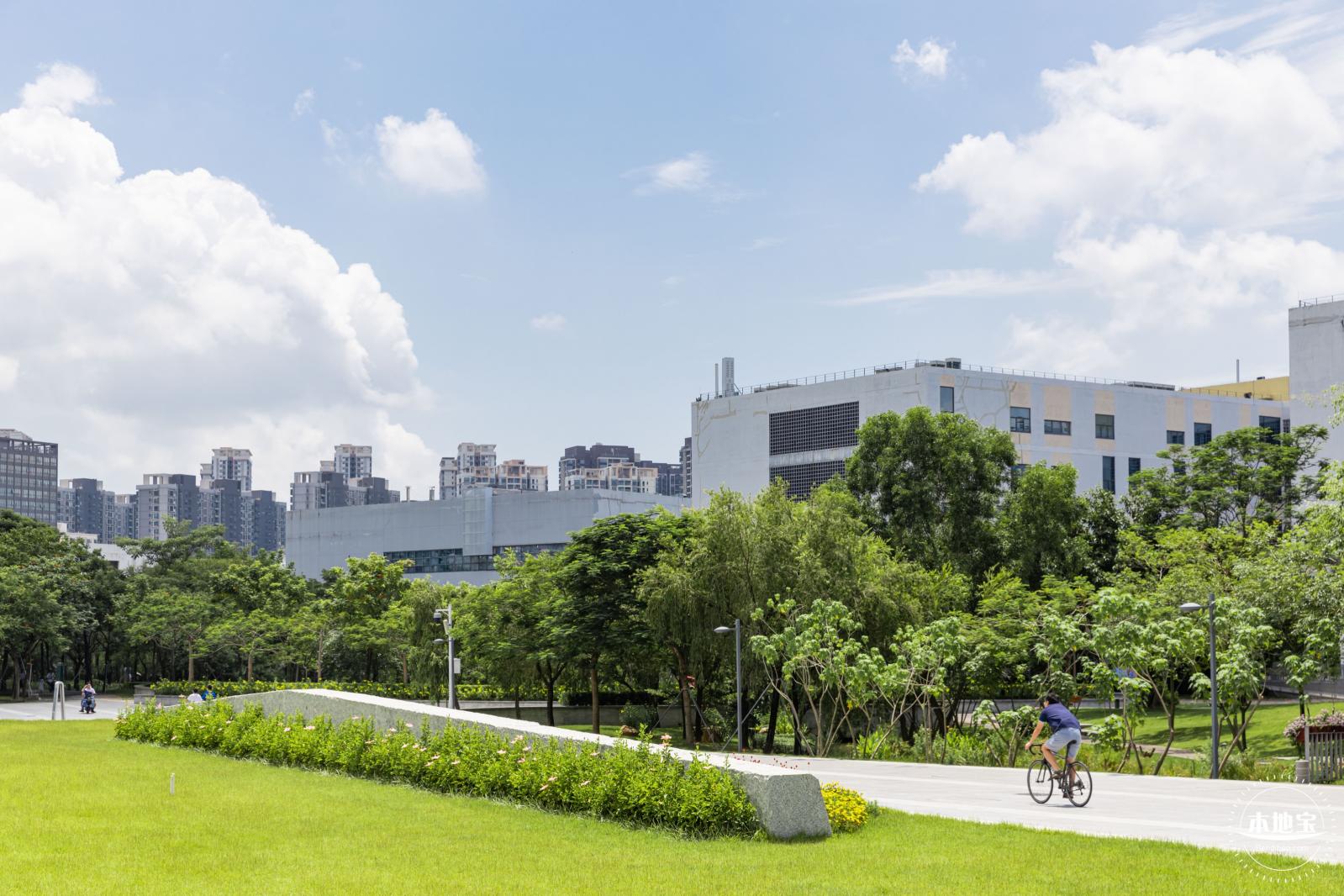 南方科技大学