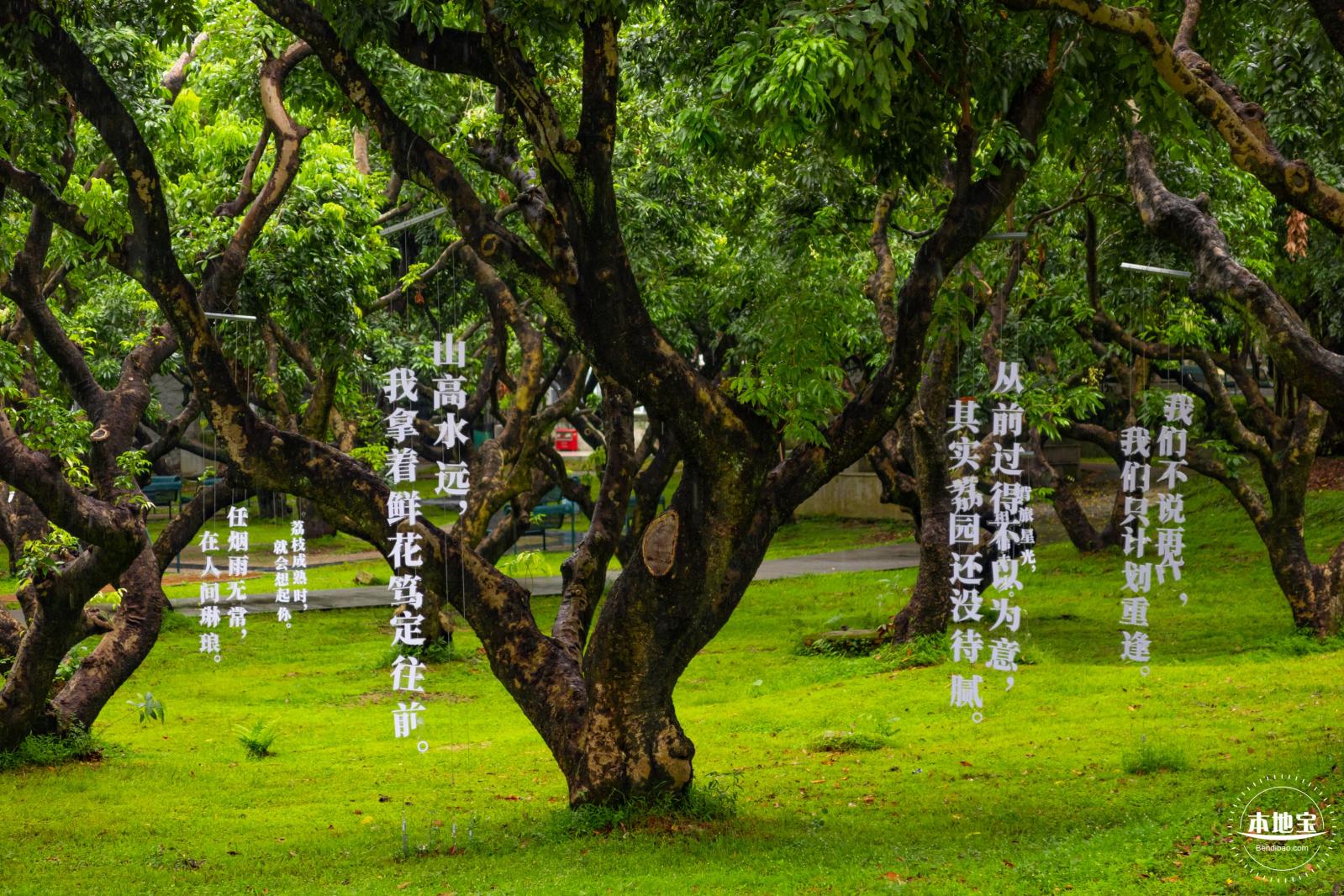 深圳大学