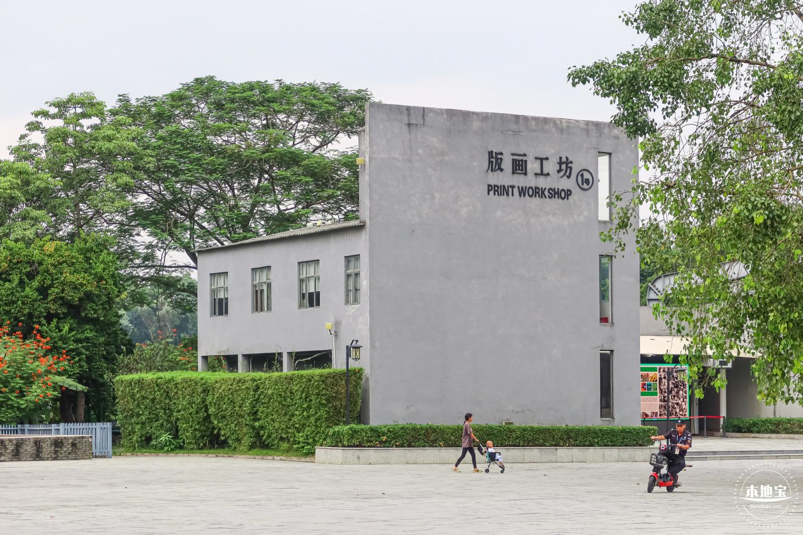 版画村格桑花海
