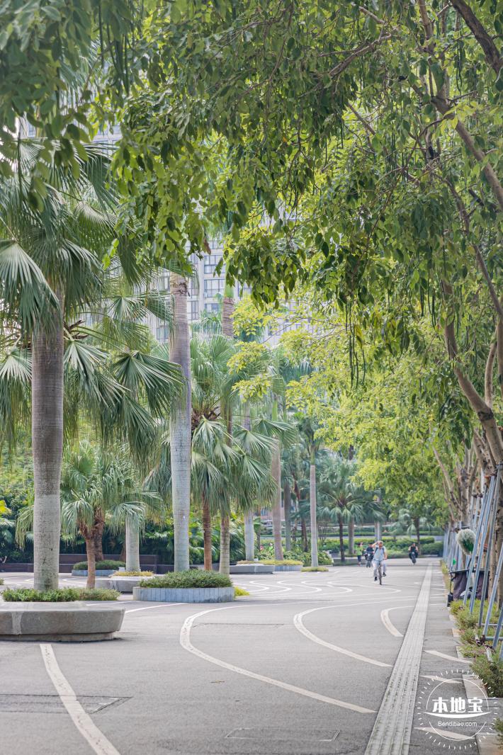 渔港中心公园
