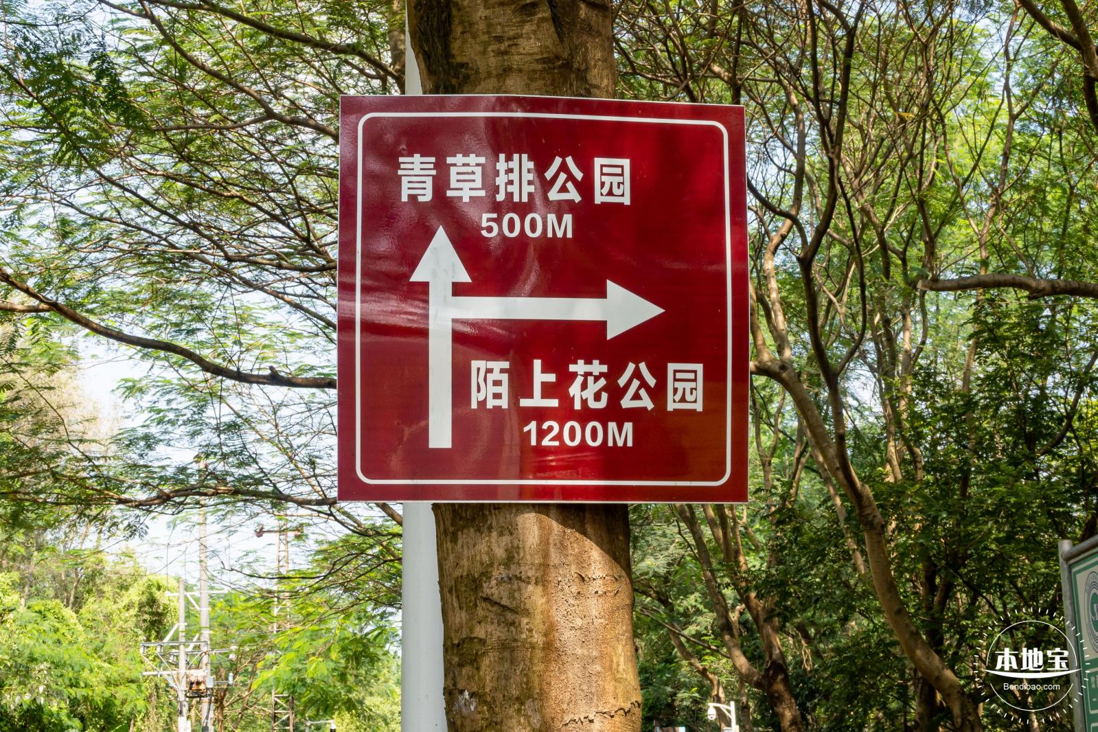 青草排公园