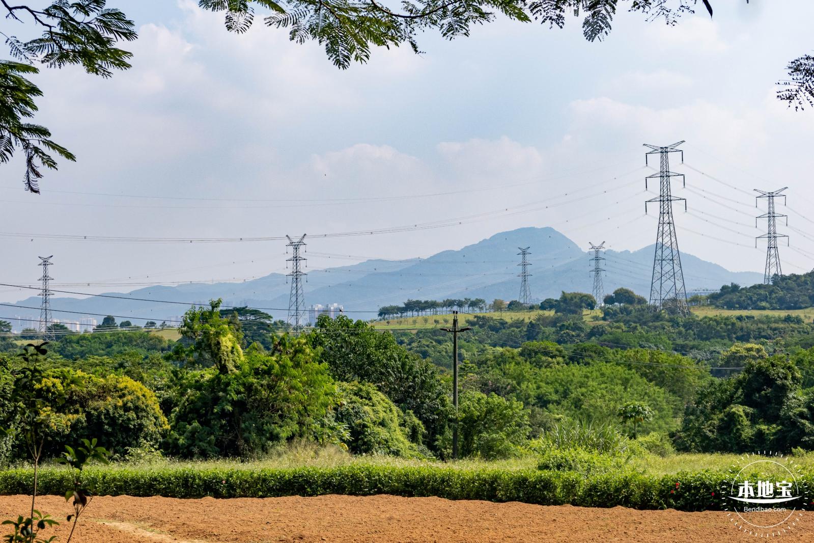 青草排公园