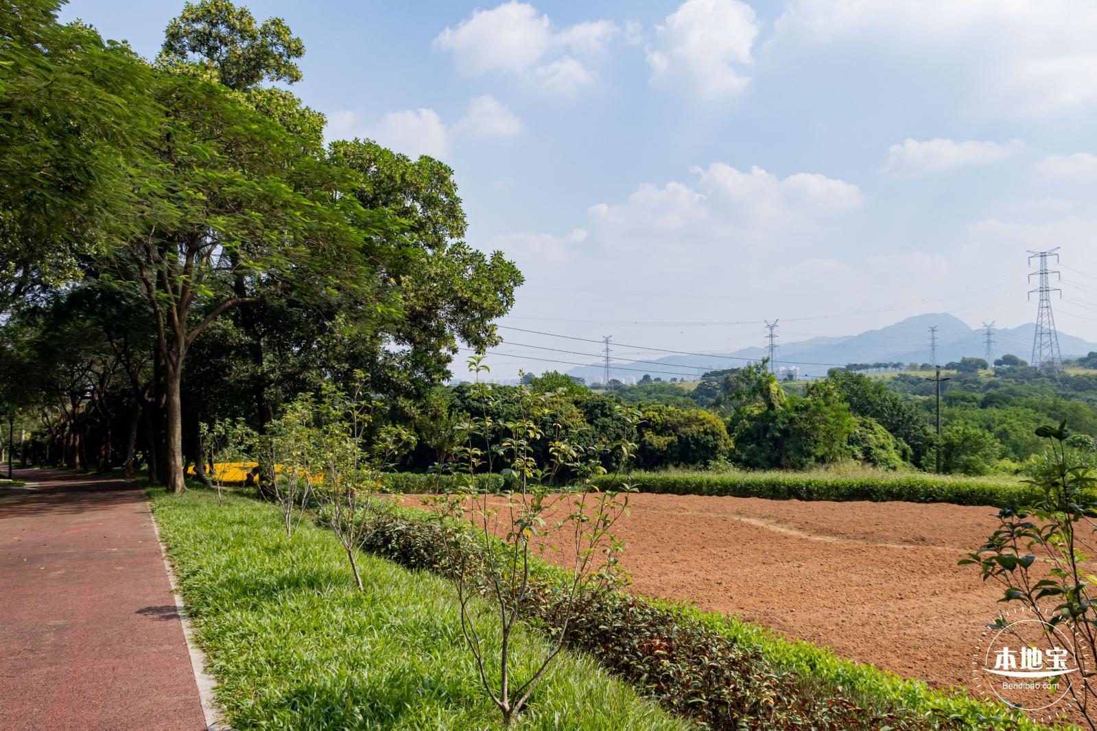 青草排公园
