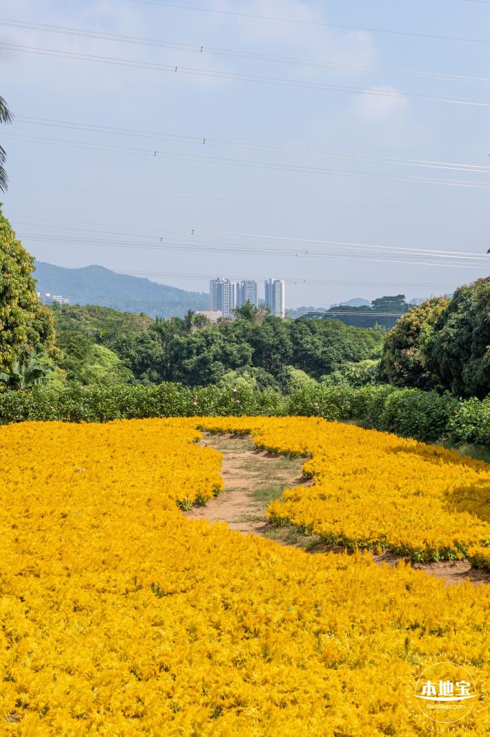青草排公园