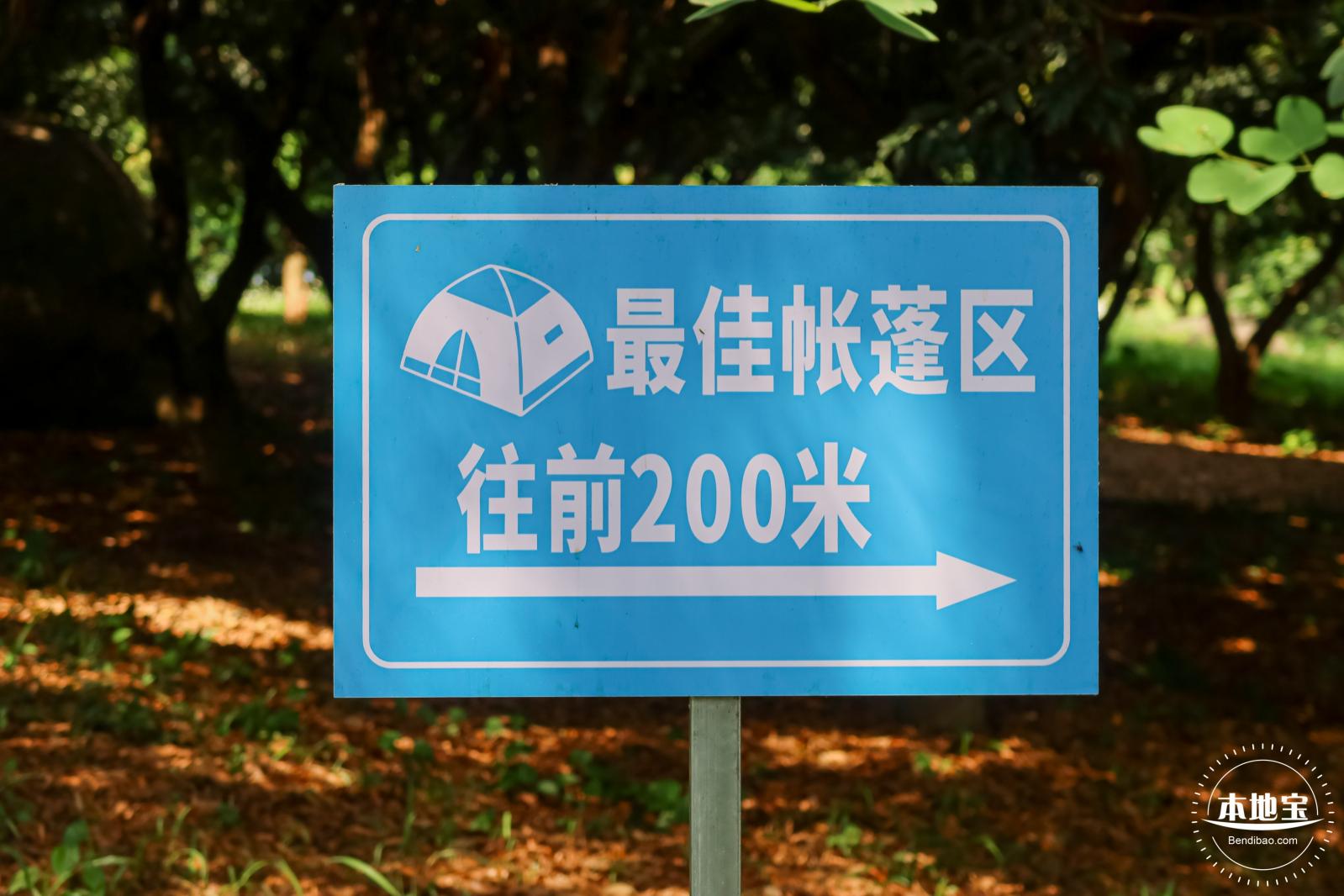 青草排公园