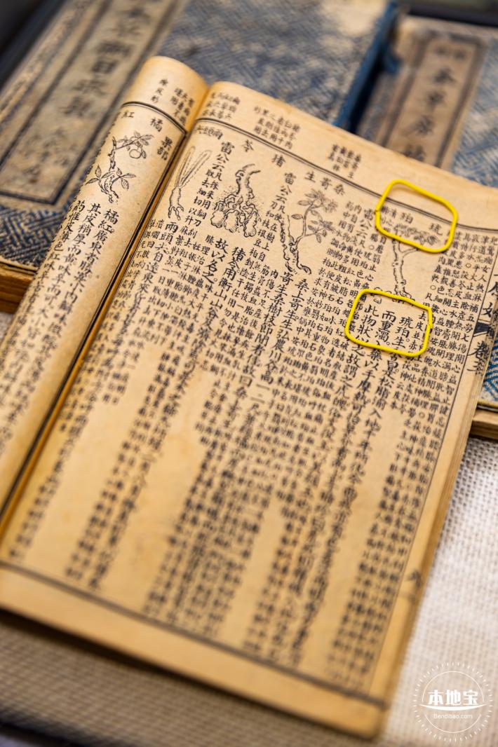 世纪琥珀博物馆