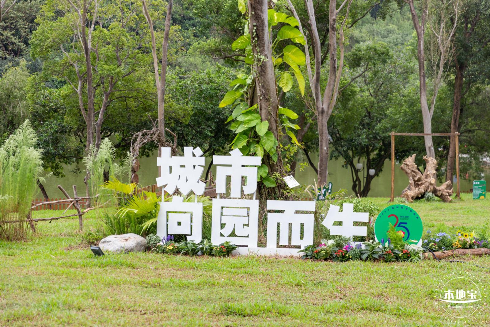 2023深圳簕杜鹃展